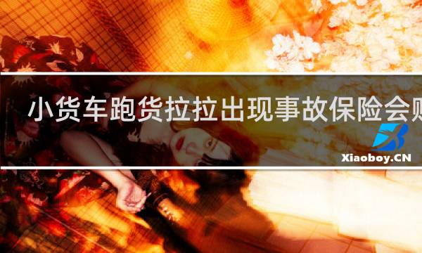 小货车跑货拉拉出现事故保险会赔吗图片