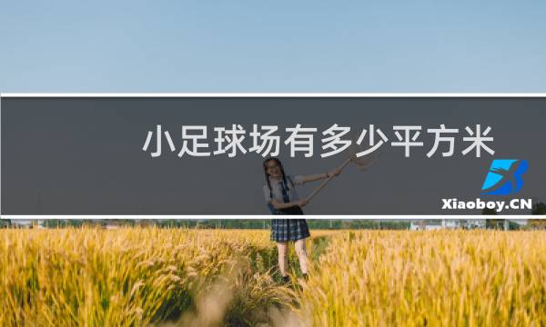 小足球场有多少平方米