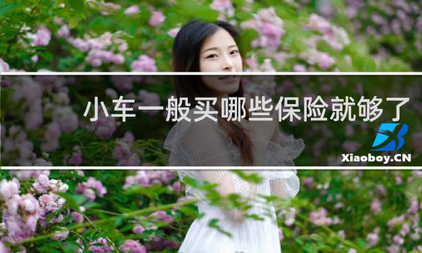 小车一般买哪些保险就够了