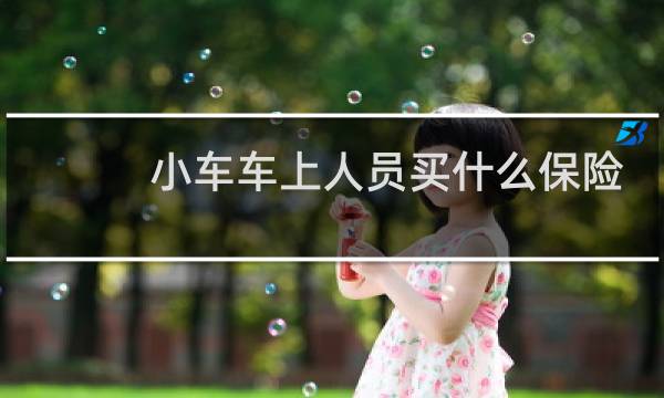 小车车上人员买什么保险