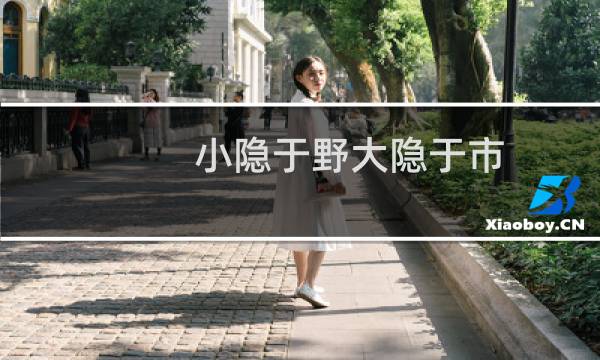 小隐于野大隐于市图片