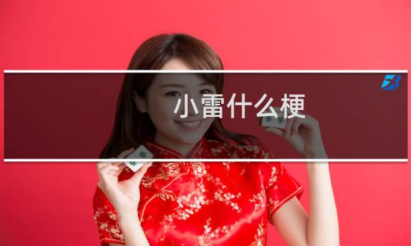 小雷什么梗