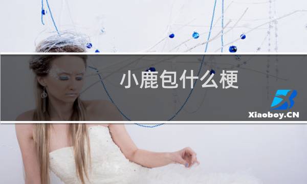 小鹿包什么梗