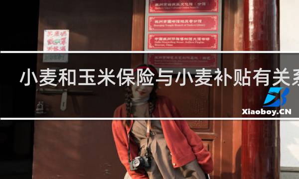 小麦和玉米保险与小麦补贴有关系吗