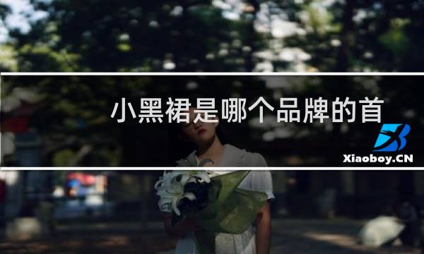 小黑裙是哪个品牌的首饰（小黑裙是哪个品牌的）