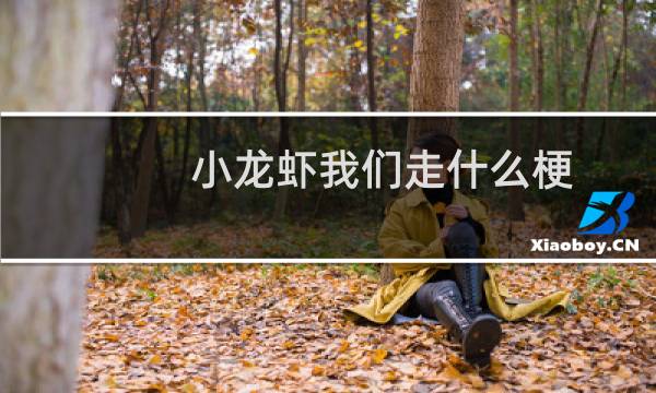 小龙虾我们走什么梗