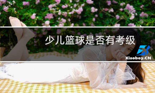 少儿篮球是否有考级