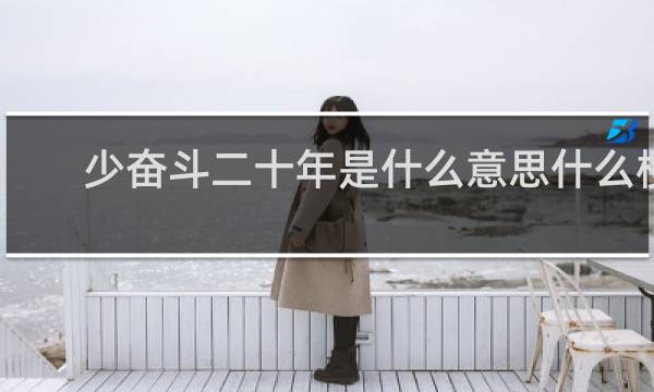 少奋斗二十年是什么意思什么梗