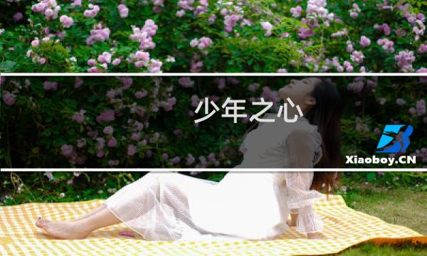 少年之心