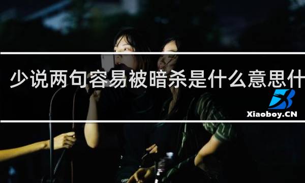 少说两句容易被暗杀是什么意思什么梗