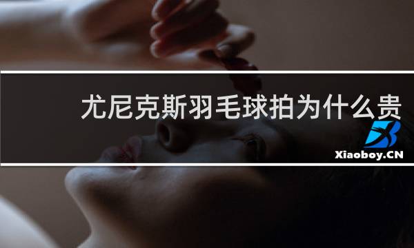 尤尼克斯羽毛球拍为什么贵