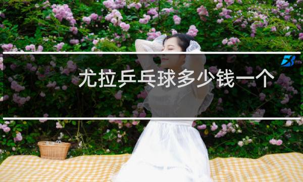 尤拉乒乓球多少钱一个