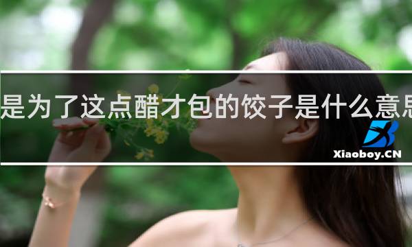 就是为了这点醋才包的饺子是什么意思什么梗