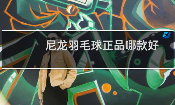 尼龙羽毛球正品哪款好