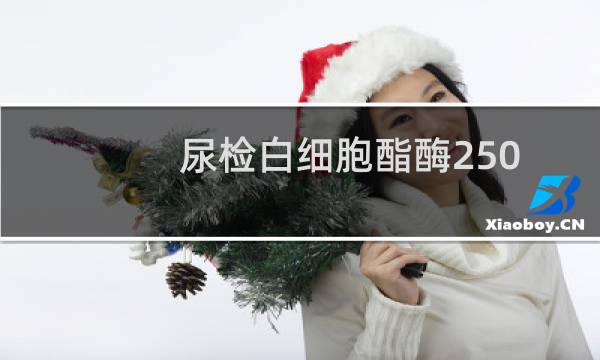 尿检白细胞酯酶250是什么意思（尿检白细胞酯酶2十）