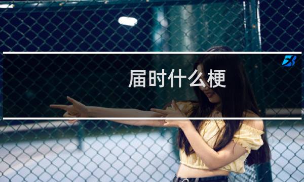 届时什么梗