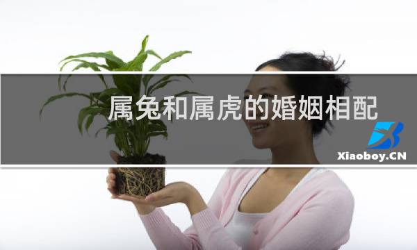 属兔和属虎的婚姻相配吗（虎和兔适合结婚吗）图片