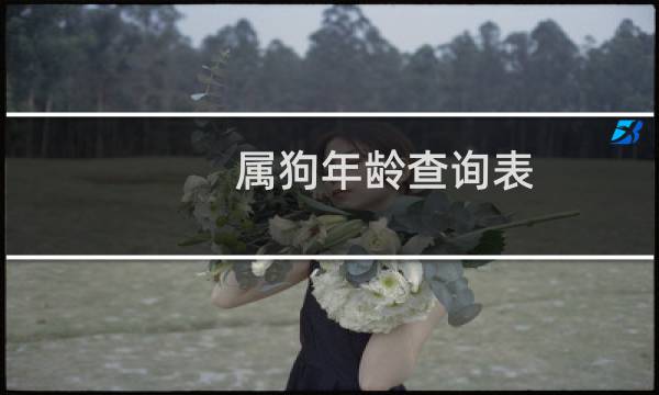 属狗年龄查询表(对照表对应岁数多大)