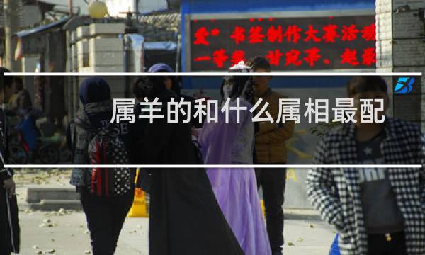 属羊的和什么属相最配79年的羊（属羊的和什么属相最配）图片