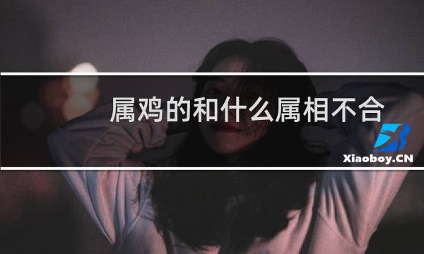 属鸡的和什么属相不合