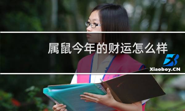 属鼠今年的财运怎么样