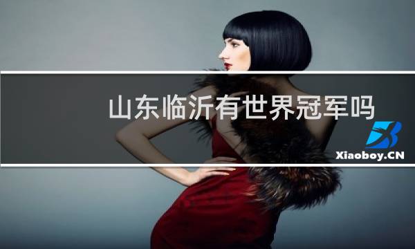 山东临沂有世界冠军吗
