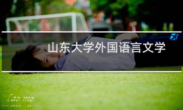 山东大学外国语言文学类(非英语)专业在山东录取分数线 历年最低分601