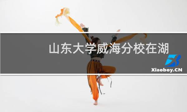 山东大学威海分校在湖南第108组包括哪些专业 附各专业招生人数