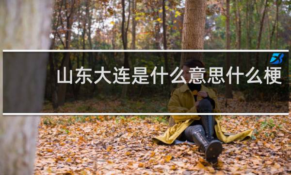 山东大连是什么意思什么梗
