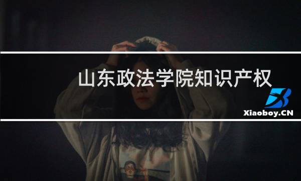 山东政法学院知识产权专业录取分数线(含2023-2024历年分数) 历年最低324分