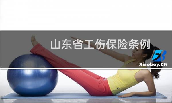 山东省工伤保险条例图片