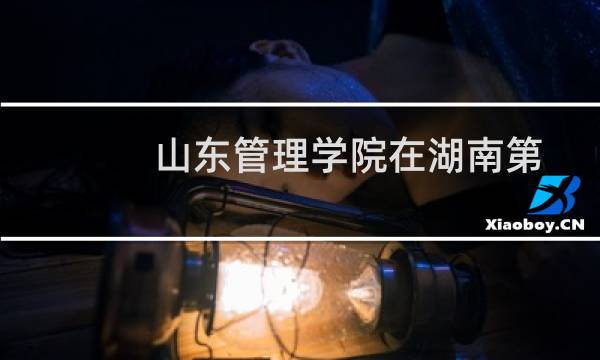 山东管理学院在湖南第103组包括哪些专业 附各专业招生人数