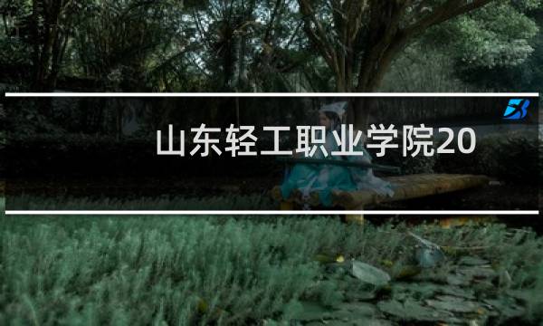山东轻工职业学院2024单招分数线