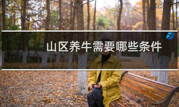 山区养牛需要哪些条件