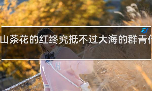 山茶花的红终究抵不过大海的群青什么梗