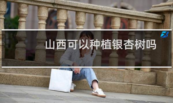 山西可以种植银杏树吗