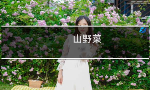 山野菜（虎林特产）