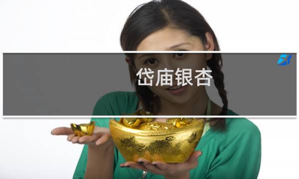 岱庙银杏