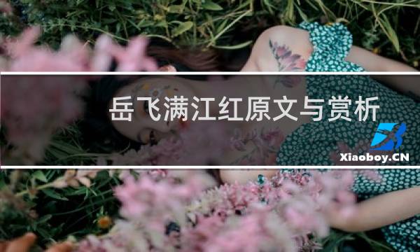 岳飞满江红原文与赏析（岳飞满江红的翻译）图片