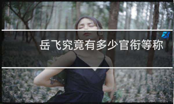 岳飞究竟有多少官衔等称谓