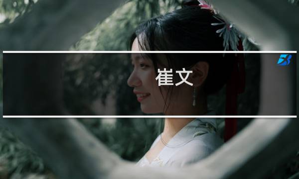 崔文图片