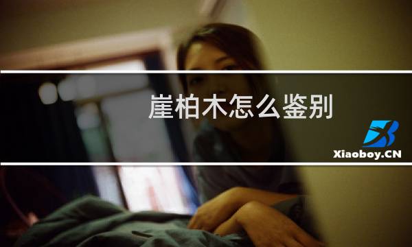 崖柏木怎么鉴别