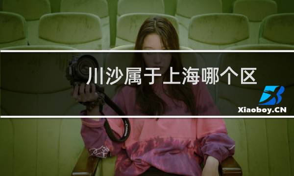 川沙属于上海哪个区