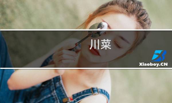 川菜图片