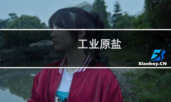 工业原盐(日晒工业盐)生产厂家连系电话?