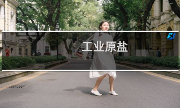 工业原盐(日晒工业盐)生产厂家连系电话?图片