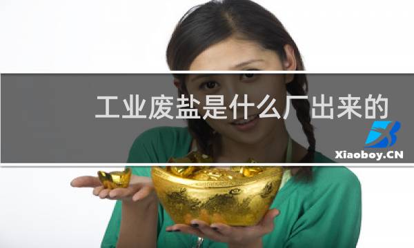 工业废盐是什么厂出来的图片