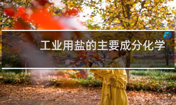 工业用盐的主要成分化学式图片