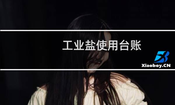 工业盐使用台账