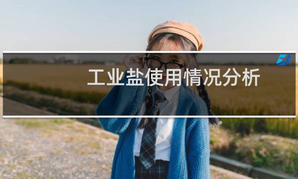 工业盐使用情况分析图片